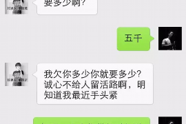 东洲专业讨债公司有哪些核心服务？